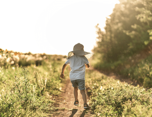 Fighting Summer Temperatures